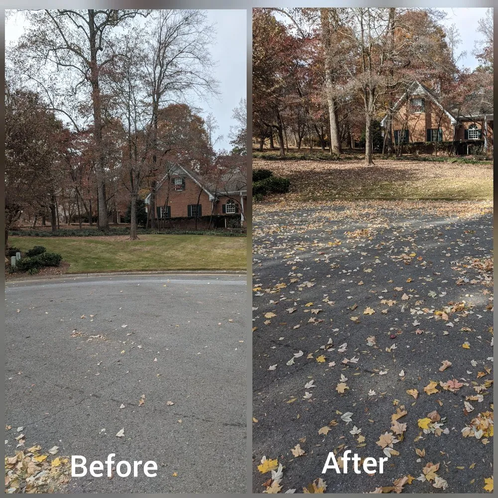 Expert outdoor landscaping for homes across Rocky Face, GA - Brian Lofty Lawn Care