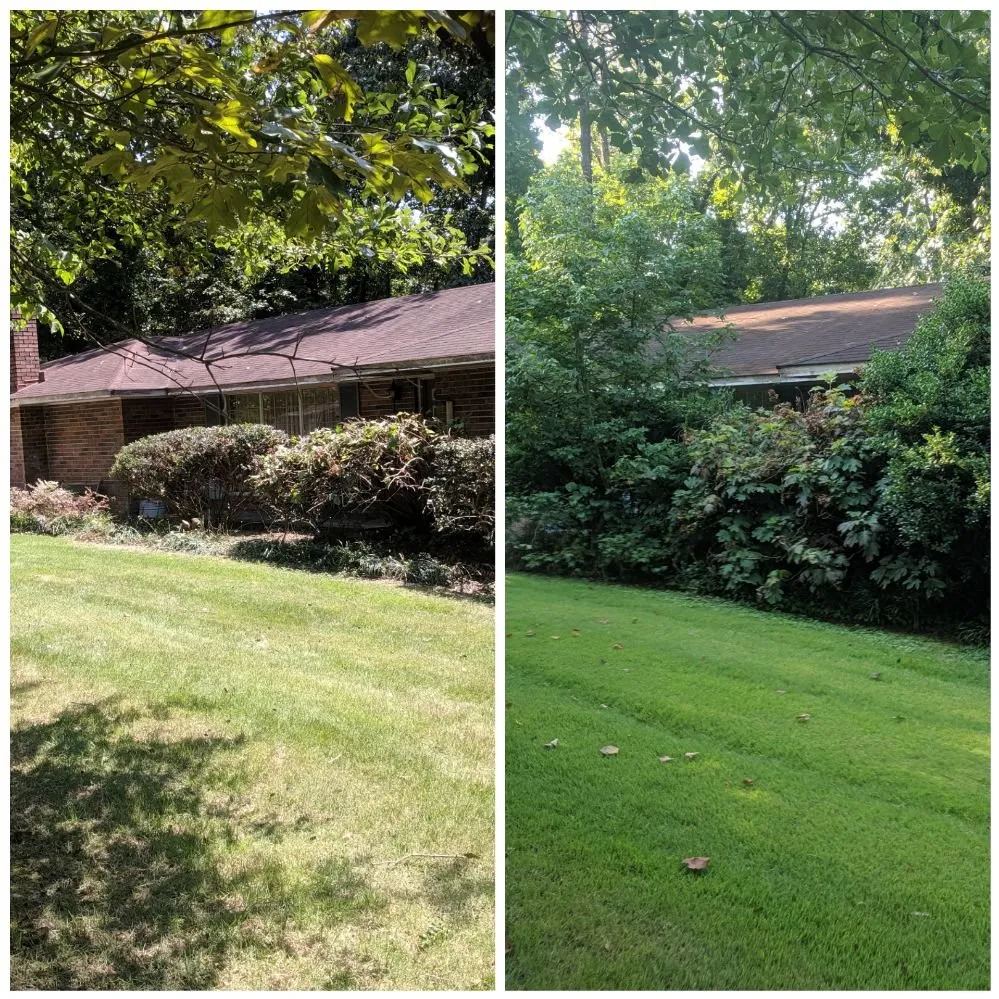 Top-rated landscape design in Rocky Face, GA - Brian Lofty Lawn Care
