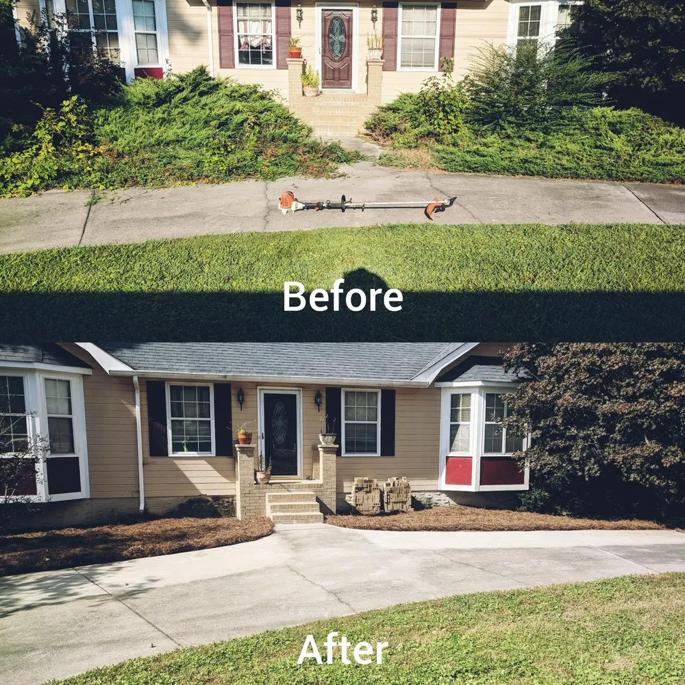 Top-rated landscaping services experts serving Rocky Face, GA - Brian Lofty Lawn Care