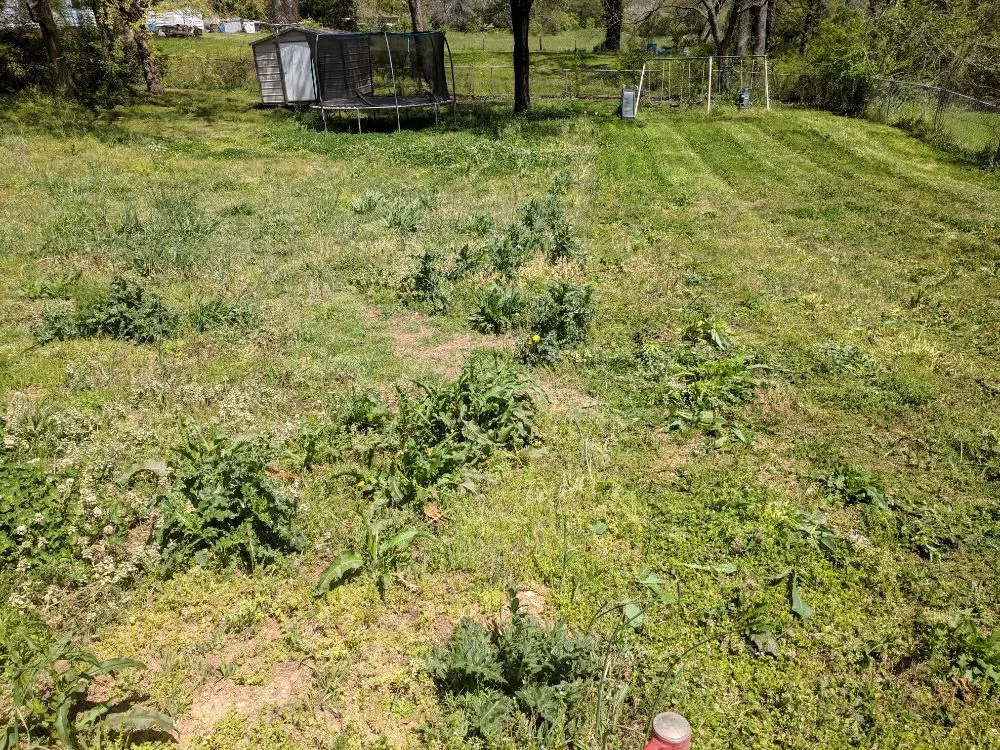 Local landscape installation for homes in Rocky Face, GA by Brian Lofty Lawn Care