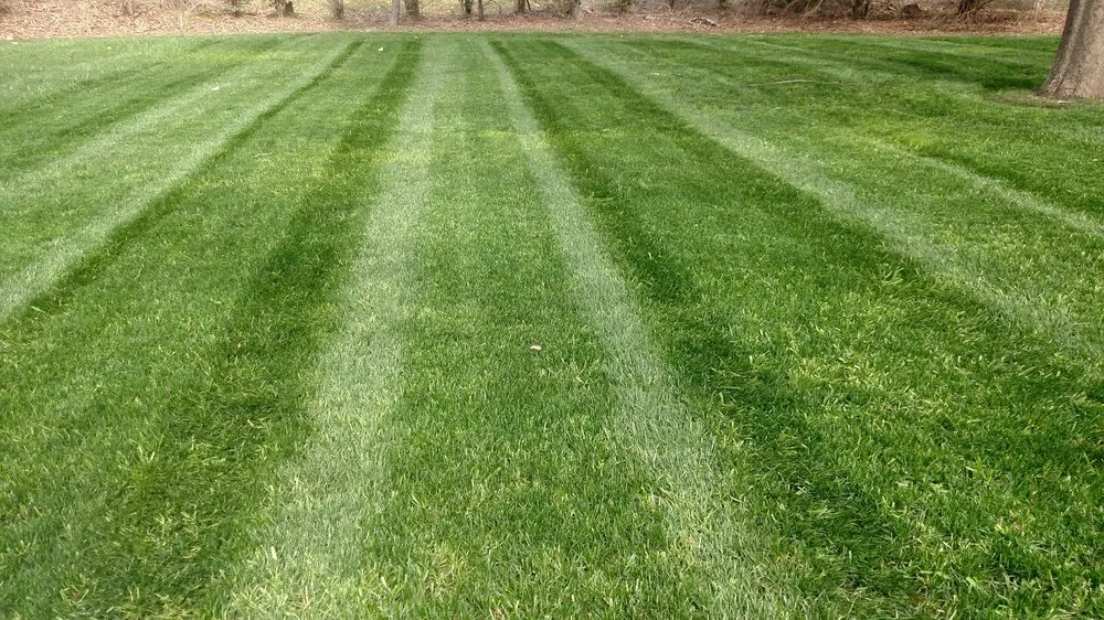 Top-rated yard cleanup service experts serving Rocky Face, GA - Brian Lofty Lawn Care