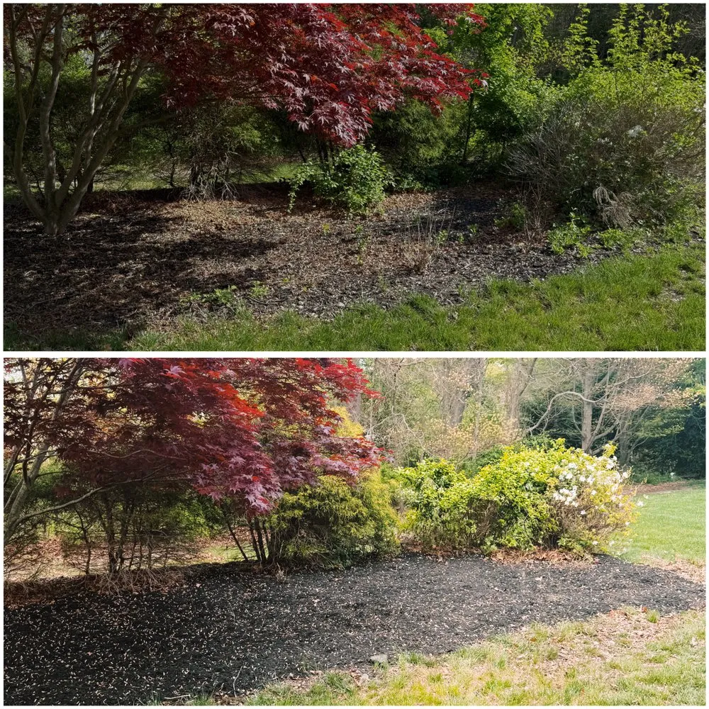 Local yard cleanup service in Toms River, NJ - Brian Of All Trades