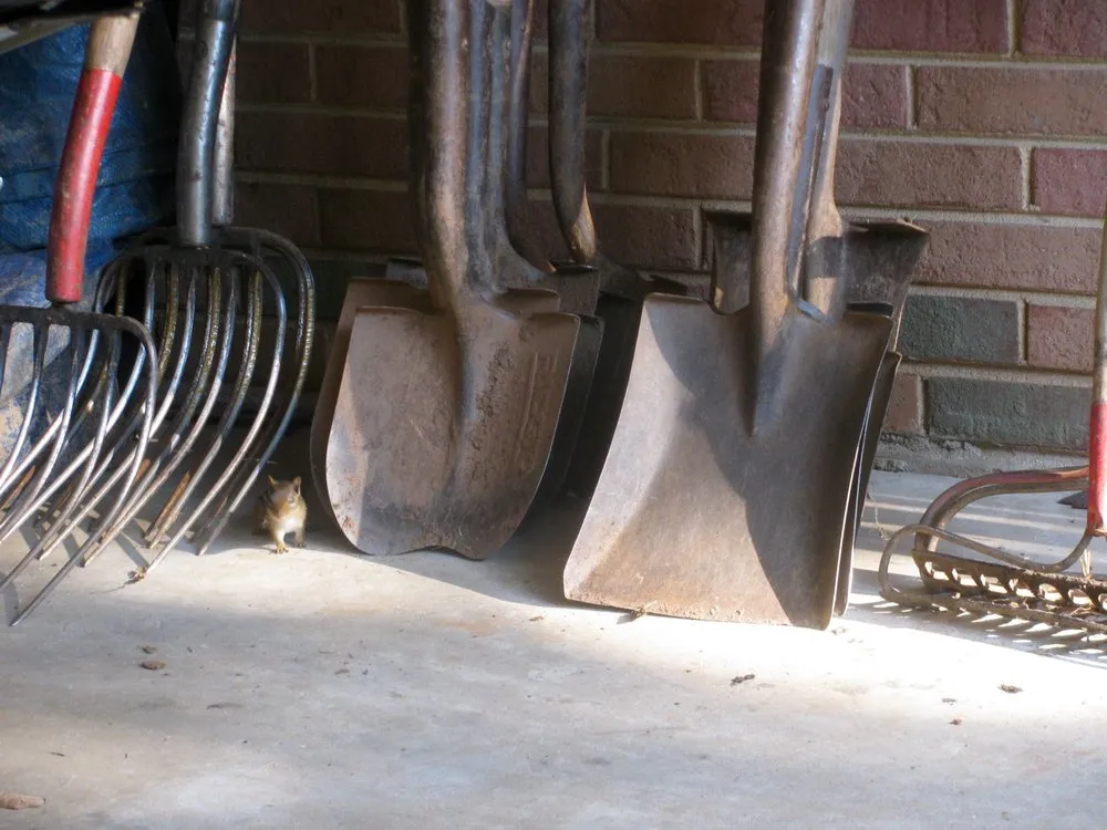 Custom outdoor landscaping in Charlotte, NC by Brian Paradise Fine Gardens & Landscaping