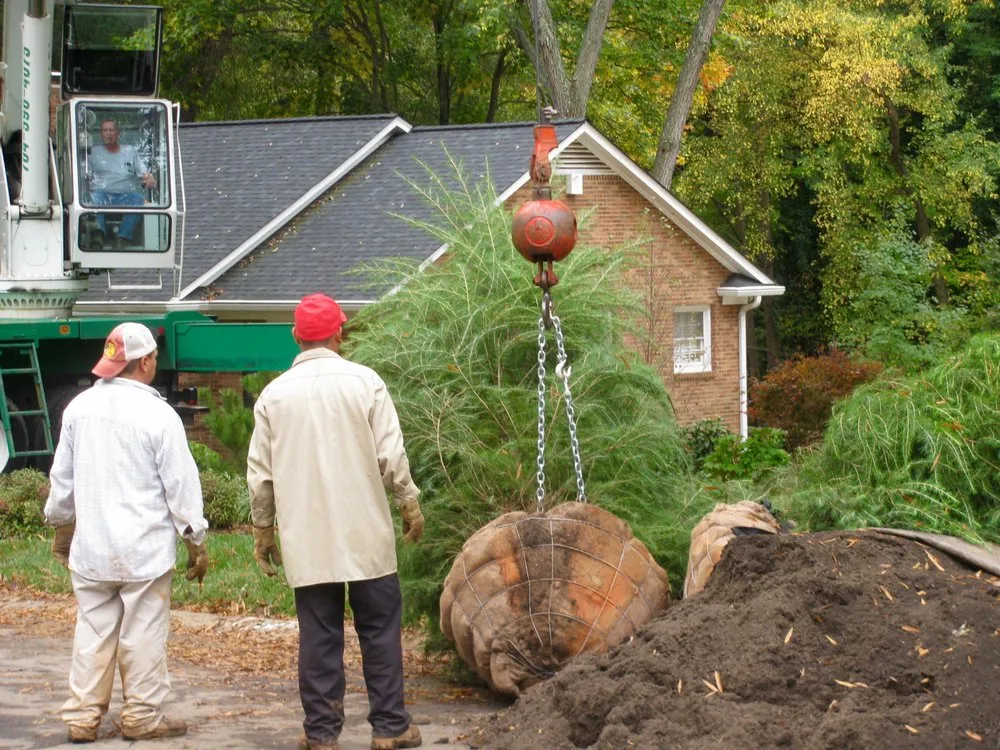 Reliable yard maintenance in Charlotte, NC - Brian Paradise Fine Gardens & Landscaping