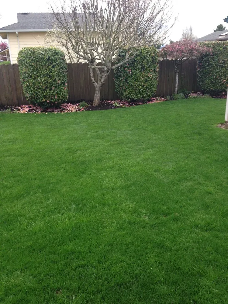 Affordable lawn care service for homes across Troutdale, OR - Brian Walsh Co. Lawn & Landscape Maintenance