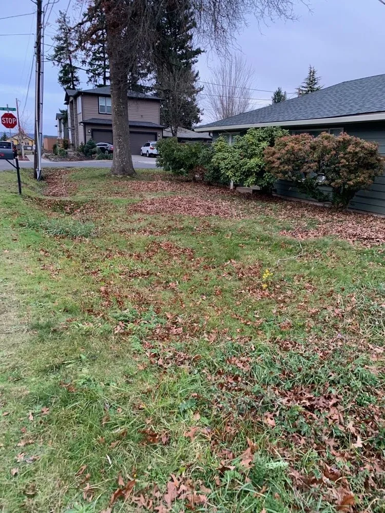 Expert outdoor landscaping in Troutdale, OR by Brian Walsh Co. Lawn & Landscape Maintenance