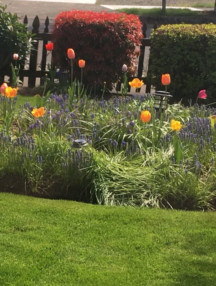 Local lawn care service for outdoor upgrades across Troutdale, OR - Brian Walsh Co. Lawn & Landscape Maintenance