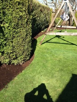 Brian Walsh Co. Lawn & Landscape Maintenance