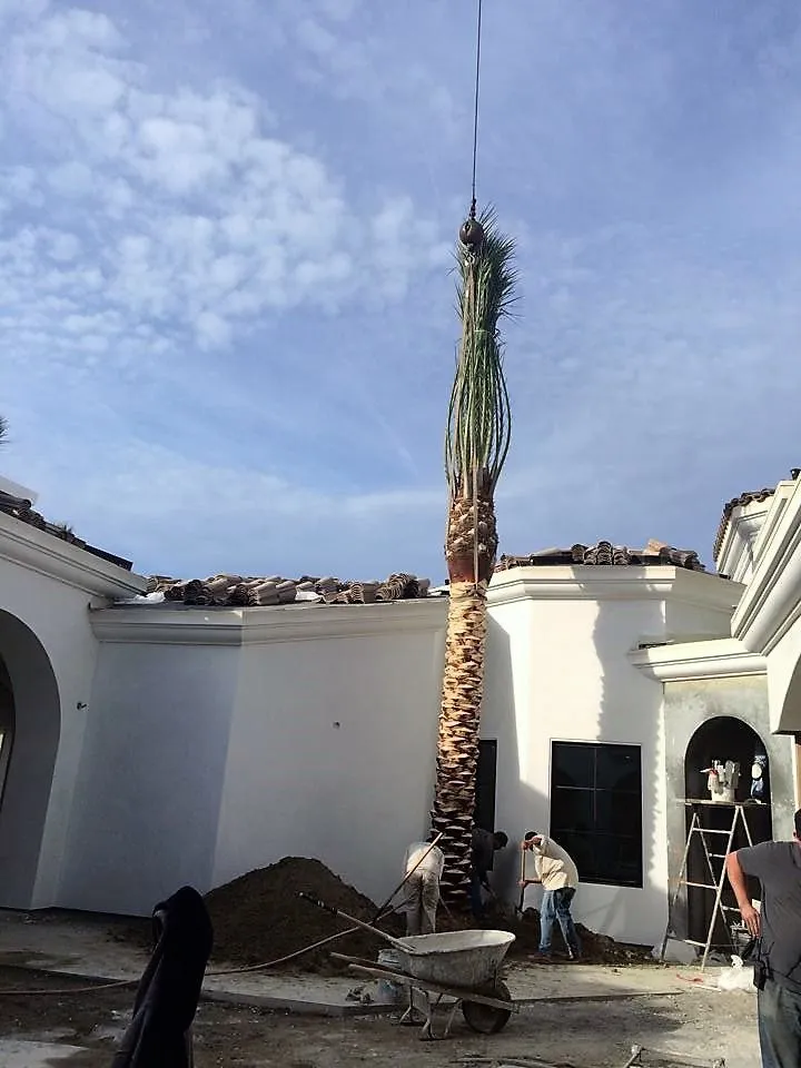 Professional outdoor landscaping experts serving Indio, CA - Brian Westlake Landscape