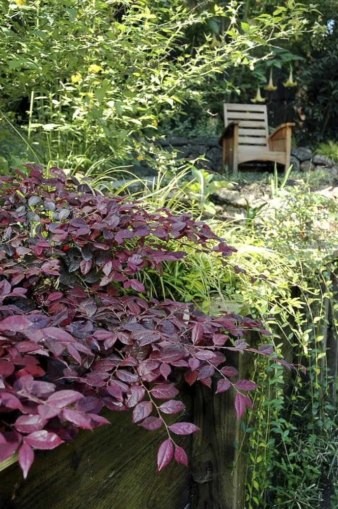 Top-rated outdoor landscaping experts serving Berkeley, CA - Brian Whyte Designs