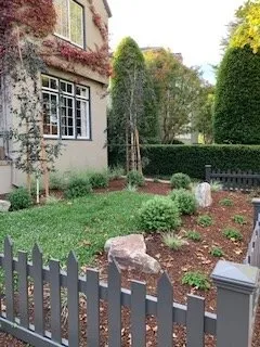 Local landscape installation in Berkeley, CA by Brian Whyte Designs