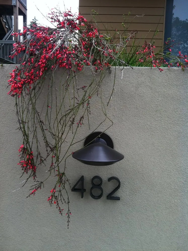 Custom garden landscaping in Berkeley, CA by Brian Whyte Designs