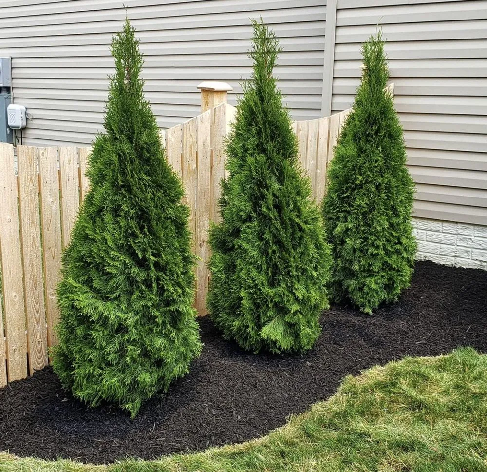 Custom garden landscaping in Sudley Springs, VA - Briannas Garden Care