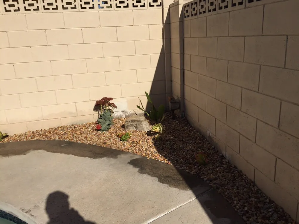 Affordable garden landscaping for year-round maintenance in Bell, CA by Briano's Landscape