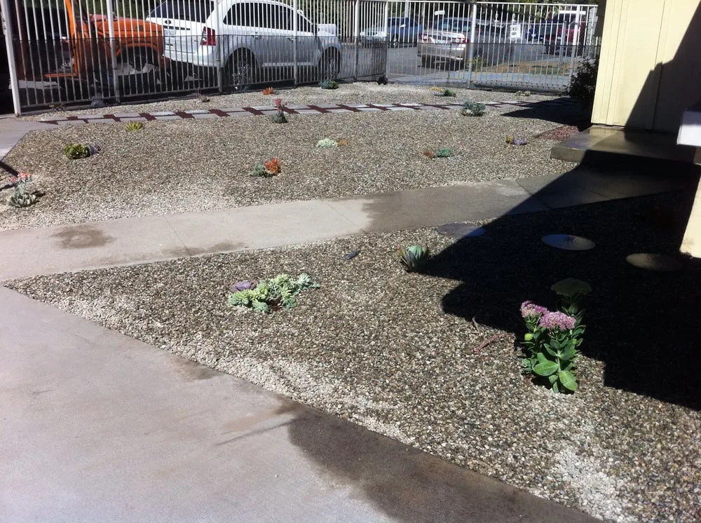 Trusted garden landscaping for homes across Bell, CA - Briano's Landscape