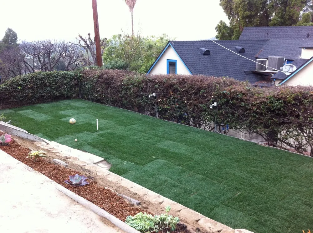 Expert yard cleanup service in Bell, CA by Briano's Landscape