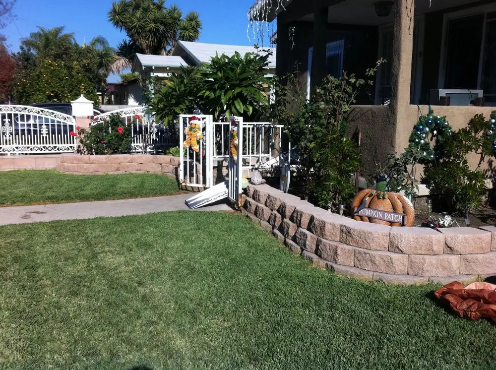 Top-rated landscaping services in Bell, CA - Briano's Landscape