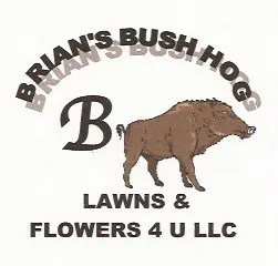 Reliable yard maintenance experts serving Hammond, LA - Brians Bush Hog