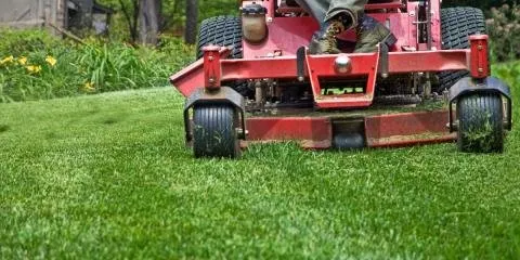 Top-rated yard cleanup service in Wichita, KS by Brian's Detailed Landscape