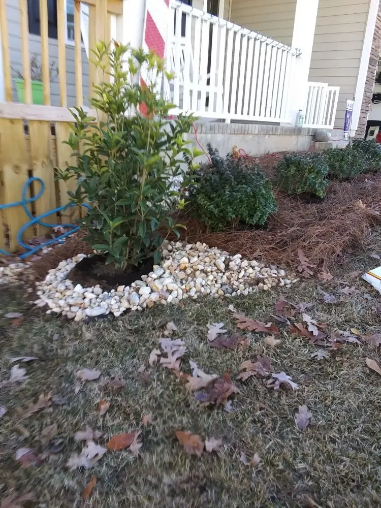 Top-rated outdoor landscaping experts serving Irmo, SC - Brian's Freelance Landscaping