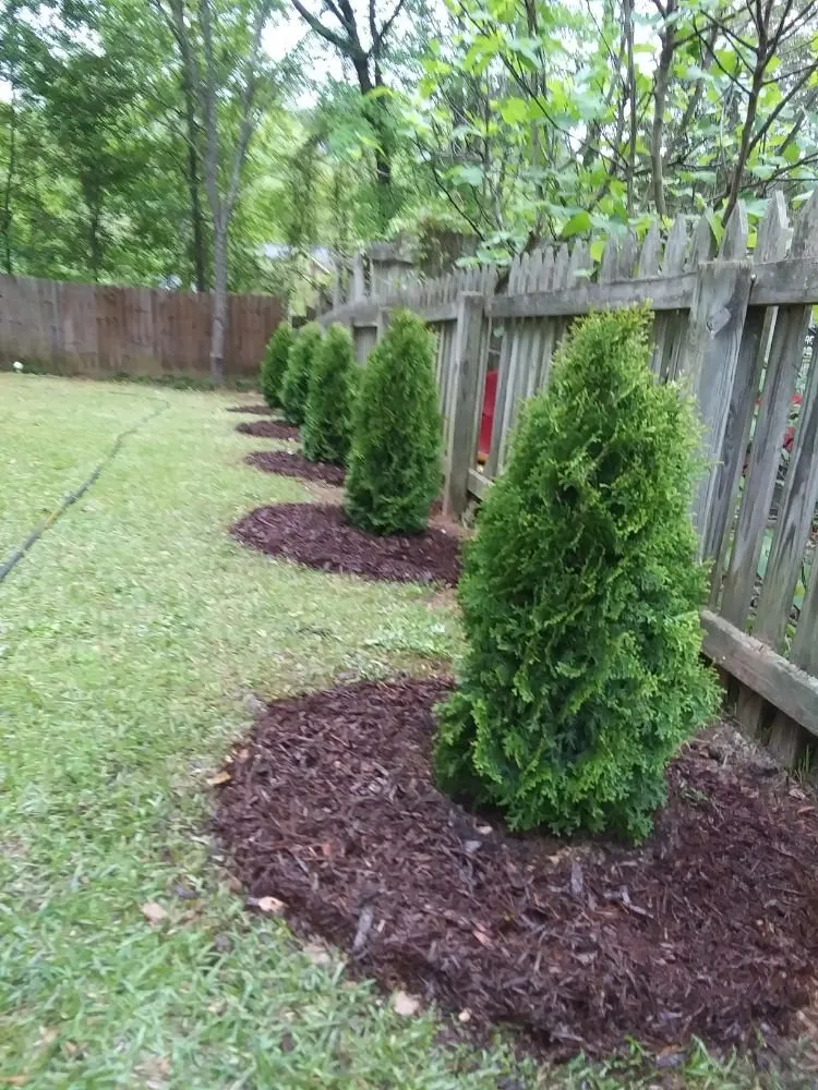 Professional landscaping services for homes in Irmo, SC by Brian's Freelance Landscaping