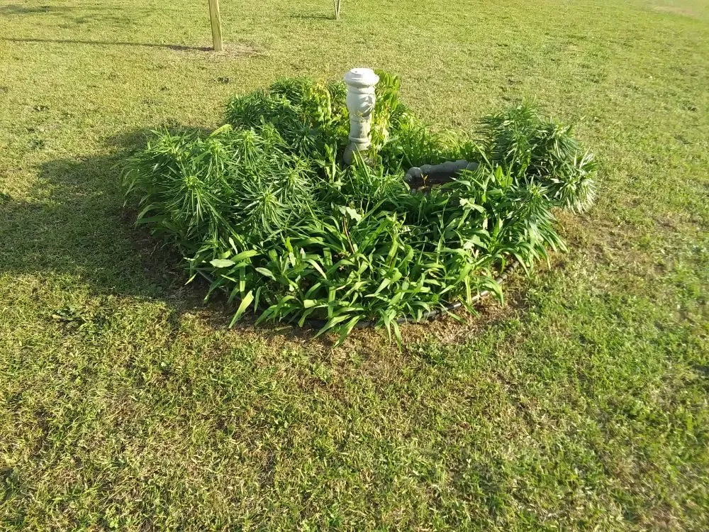 Local landscape installation in Irmo, SC - Brian's Freelance Landscaping