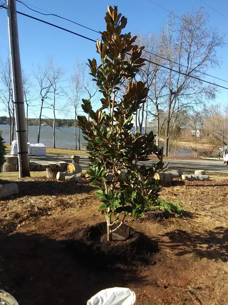 Expert lawn care service with custom design in Irmo, SC by Brian's Freelance Landscaping