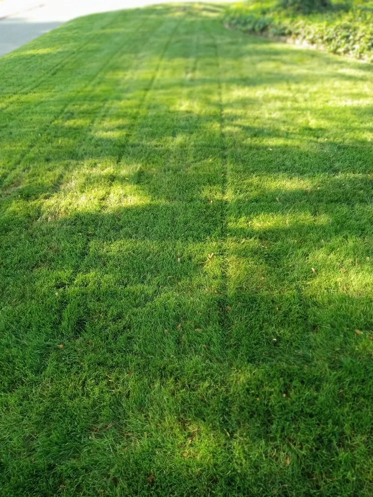 Trusted outdoor landscaping experts serving Mentor, OH - Brians General Labor