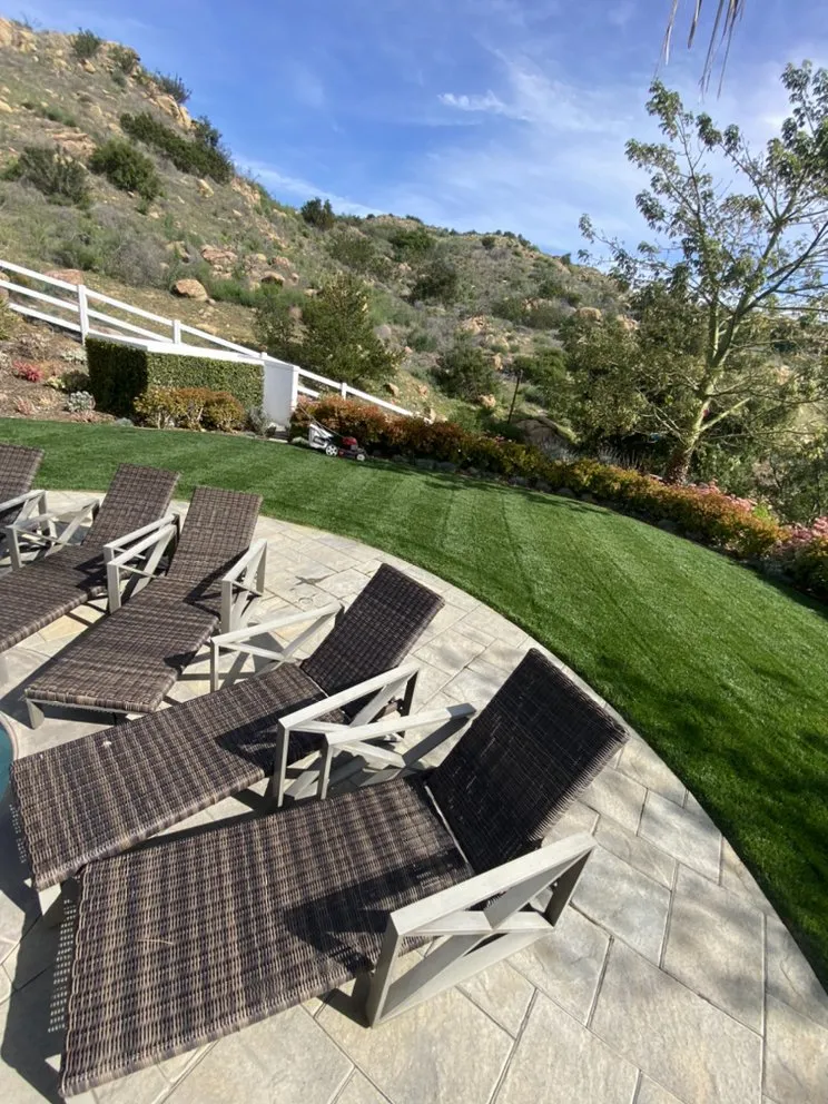 Reliable yard maintenance in Canoga Park, CA by Brian’s landscape and tree service