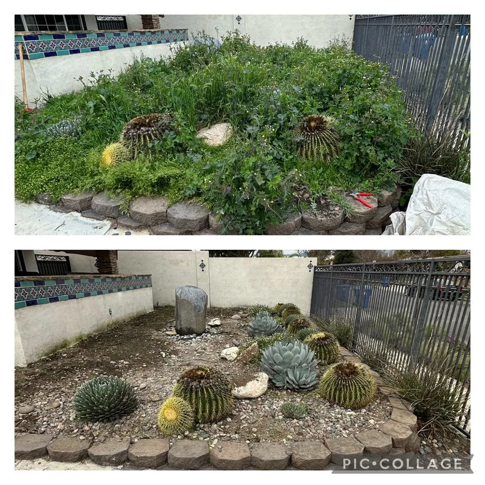 Trusted landscaping services for residential properties in Canoga Park, CA by Brian’s landscape and tree service