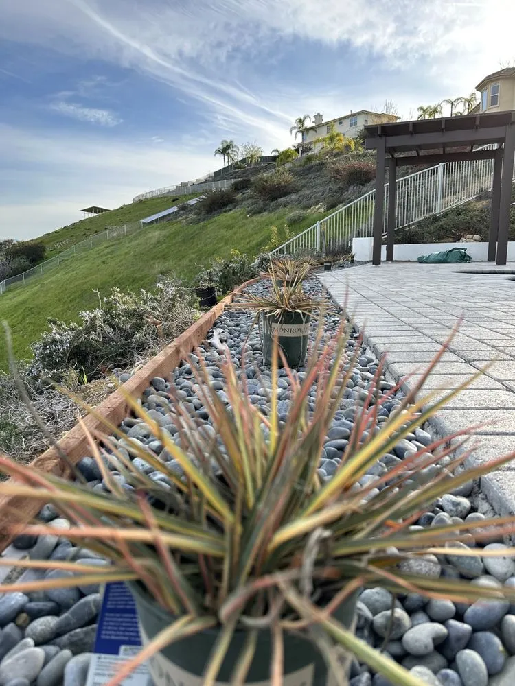 Expert landscaping services in Canoga Park, CA - Brian’s landscape and tree service