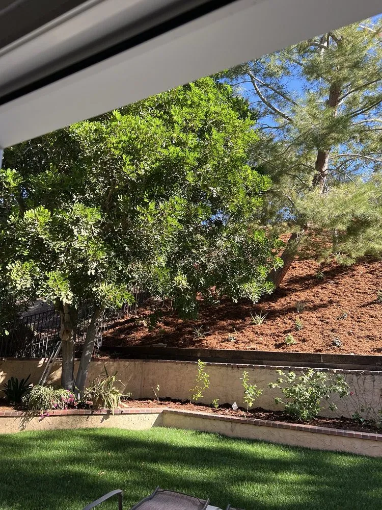 Reliable landscape design in Canoga Park, CA - Brian’s landscape and tree service