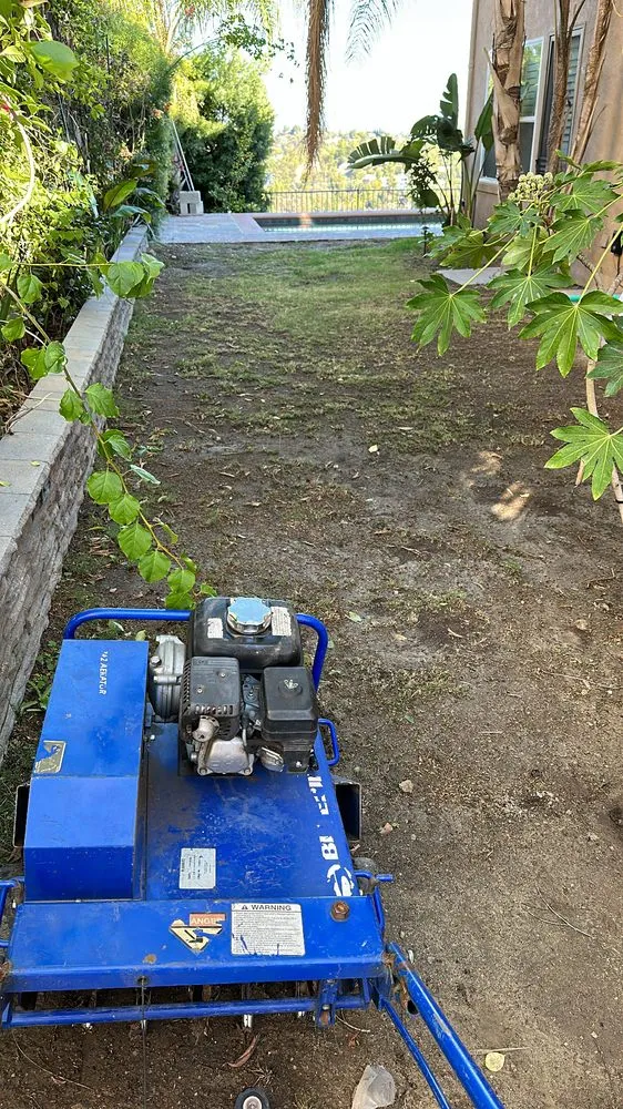 Trusted lawn mowing service experts serving Canoga Park, CA - Brian’s landscape and tree service