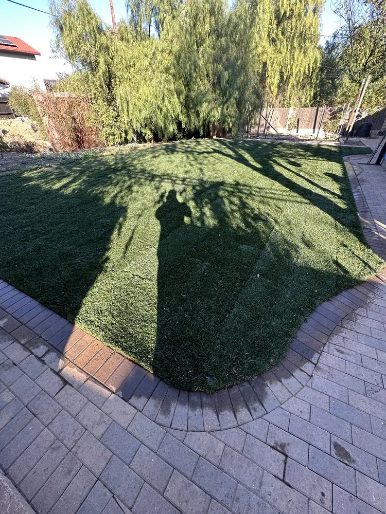 Expert lawn mowing service for outdoor upgrades across Canoga Park, CA - Brian’s landscape and tree service