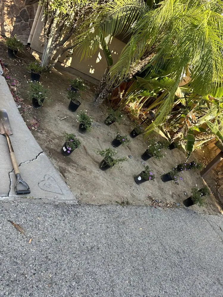 Custom landscaping services for residential properties in Canoga Park, CA by Brian’s landscape and tree service