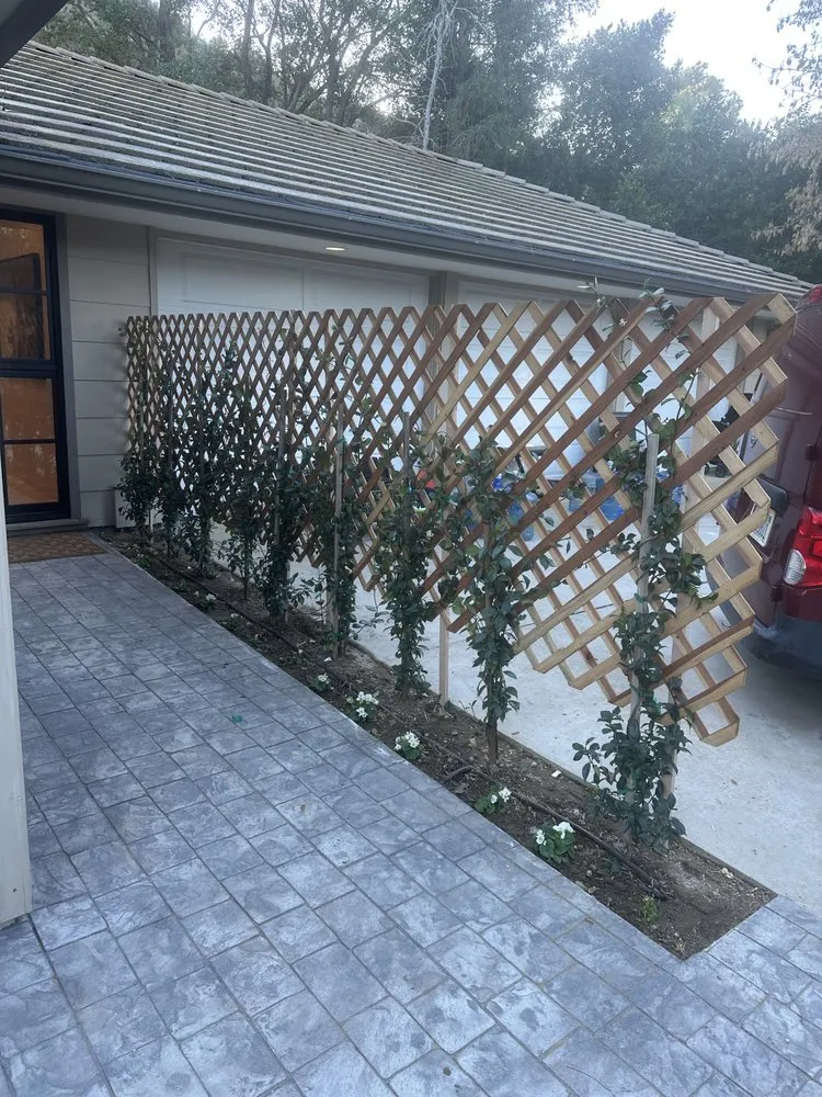 Expert landscape installation in Canoga Park, CA by Brian’s landscape and tree service