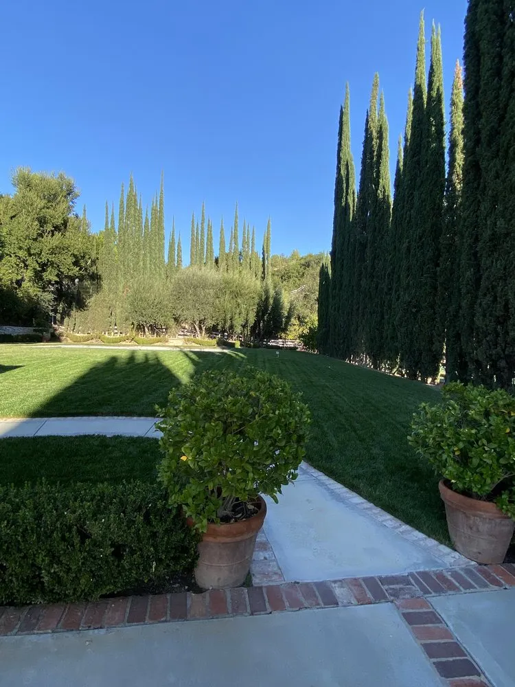 Custom landscaping services in Canoga Park, CA by Brian’s landscape and tree service