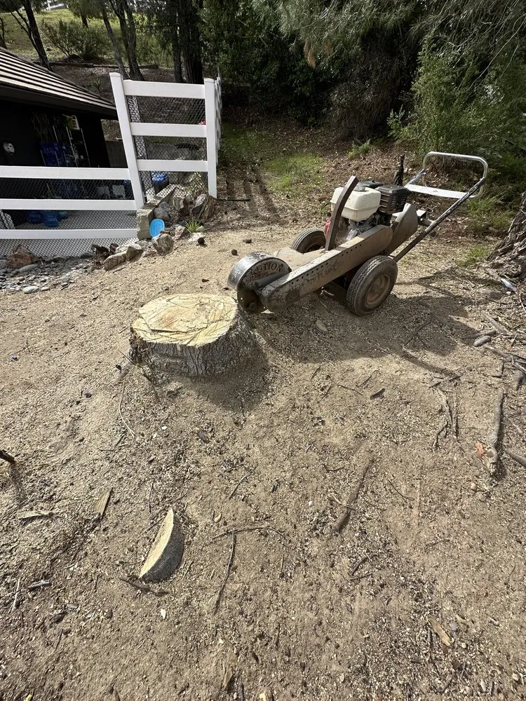 Affordable residential landscaping experts serving Canoga Park, CA - Brian’s landscape and tree service