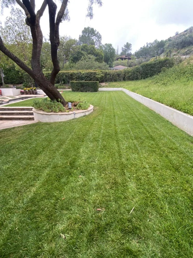 Expert landscaping services near you in Canoga Park, CA by Brian’s landscape and tree service