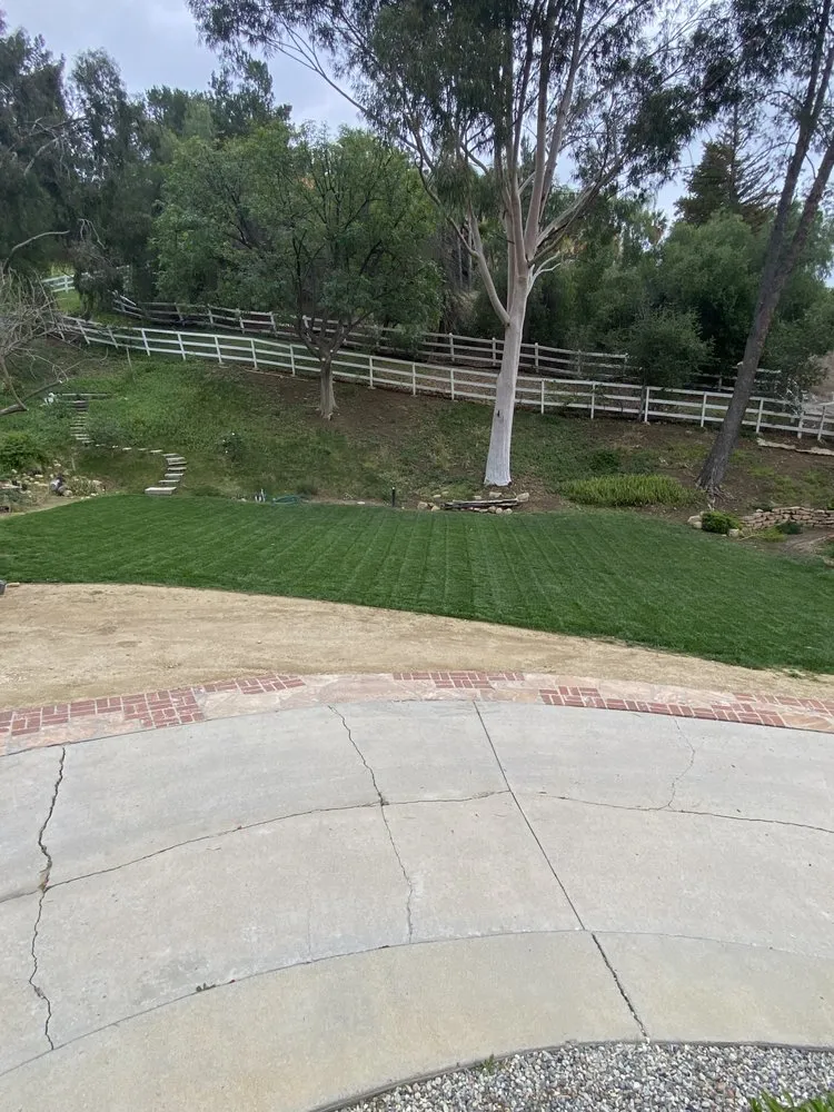 Custom lawn care service for beautiful yards in Canoga Park, CA by Brian’s landscape and tree service