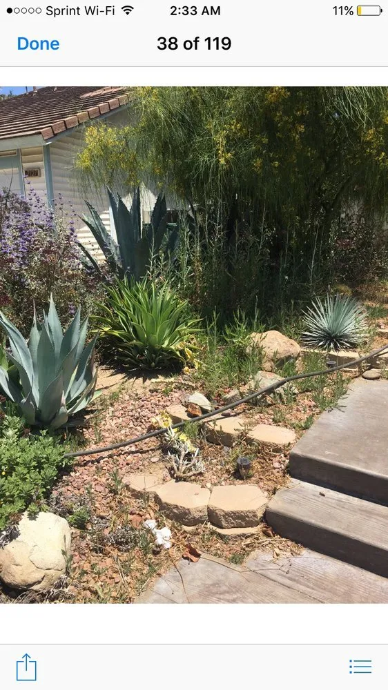 Affordable yard maintenance in Olathe, KS by Brian's Landscaping & Junk Removal