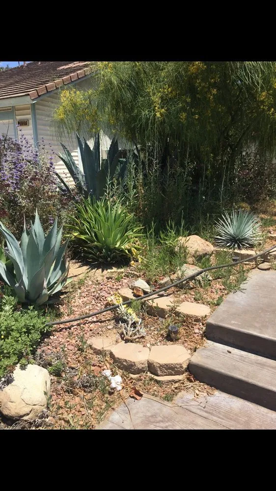 Local residential landscaping for beautiful yards in Olathe, KS by Brian's Landscaping & Junk Removal