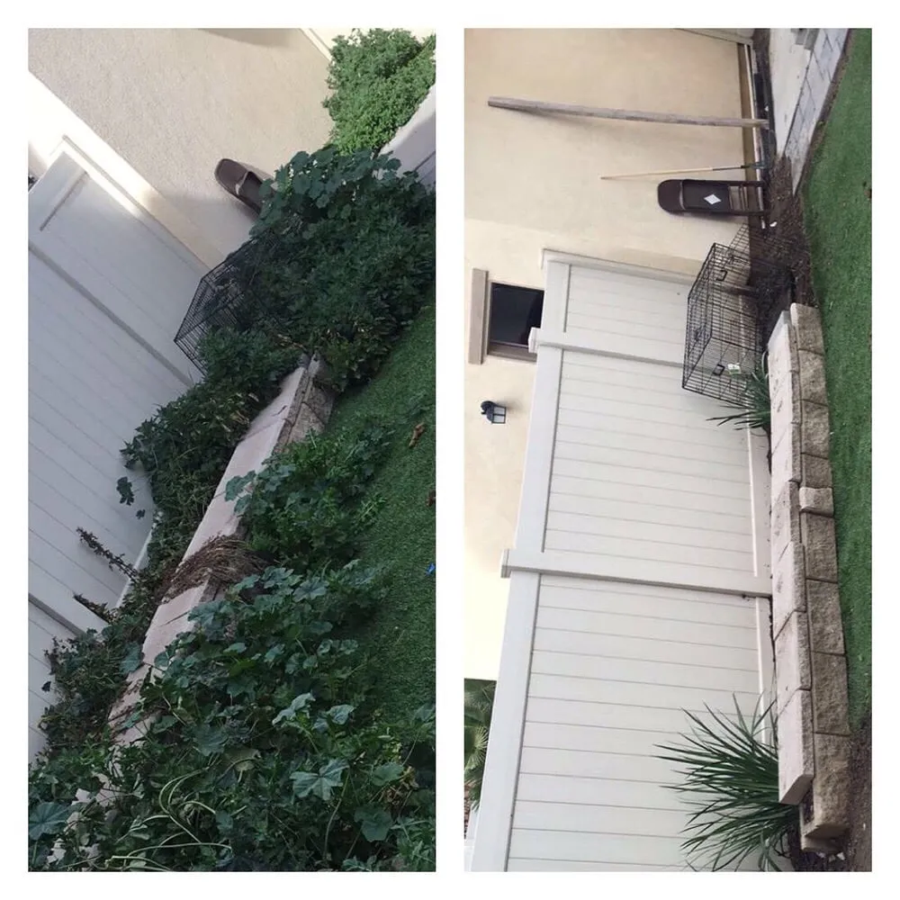 Reliable lawn mowing service for residential properties in Olathe, KS by Brian's Landscaping & Junk Removal