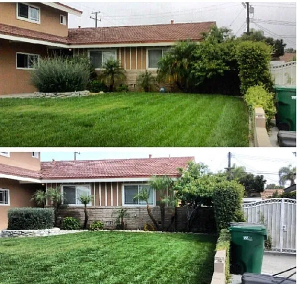 Reliable lawn care service in Olathe, KS - Brian's Landscaping & Junk Removal