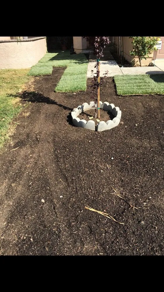 Top-rated outdoor landscaping in Olathe, KS by Brian's Landscaping & Junk Removal