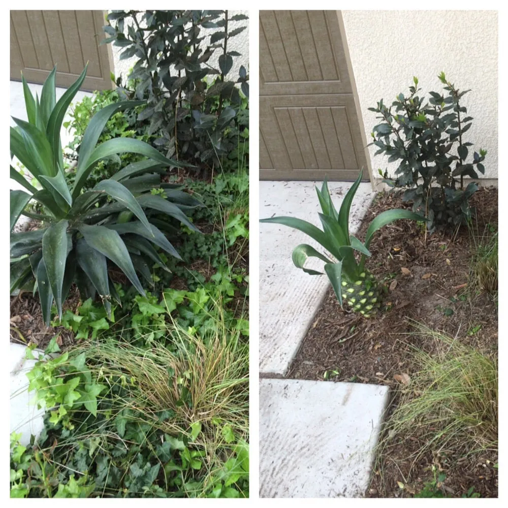 Reliable landscaping services in Olathe, KS by Brian's Landscaping & Junk Removal