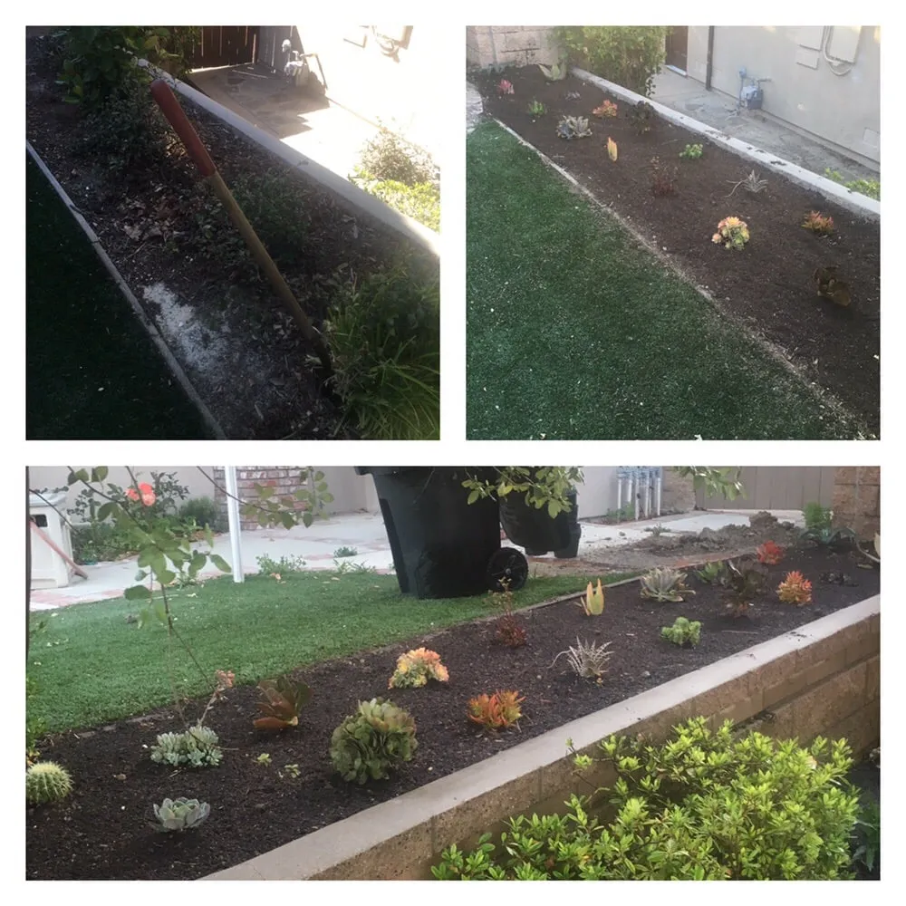 Top-rated landscape installation experts serving Olathe, KS - Brian's Landscaping & Junk Removal