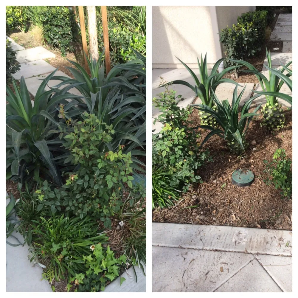 Trusted landscape installation with custom design in Olathe, KS by Brian's Landscaping & Junk Removal