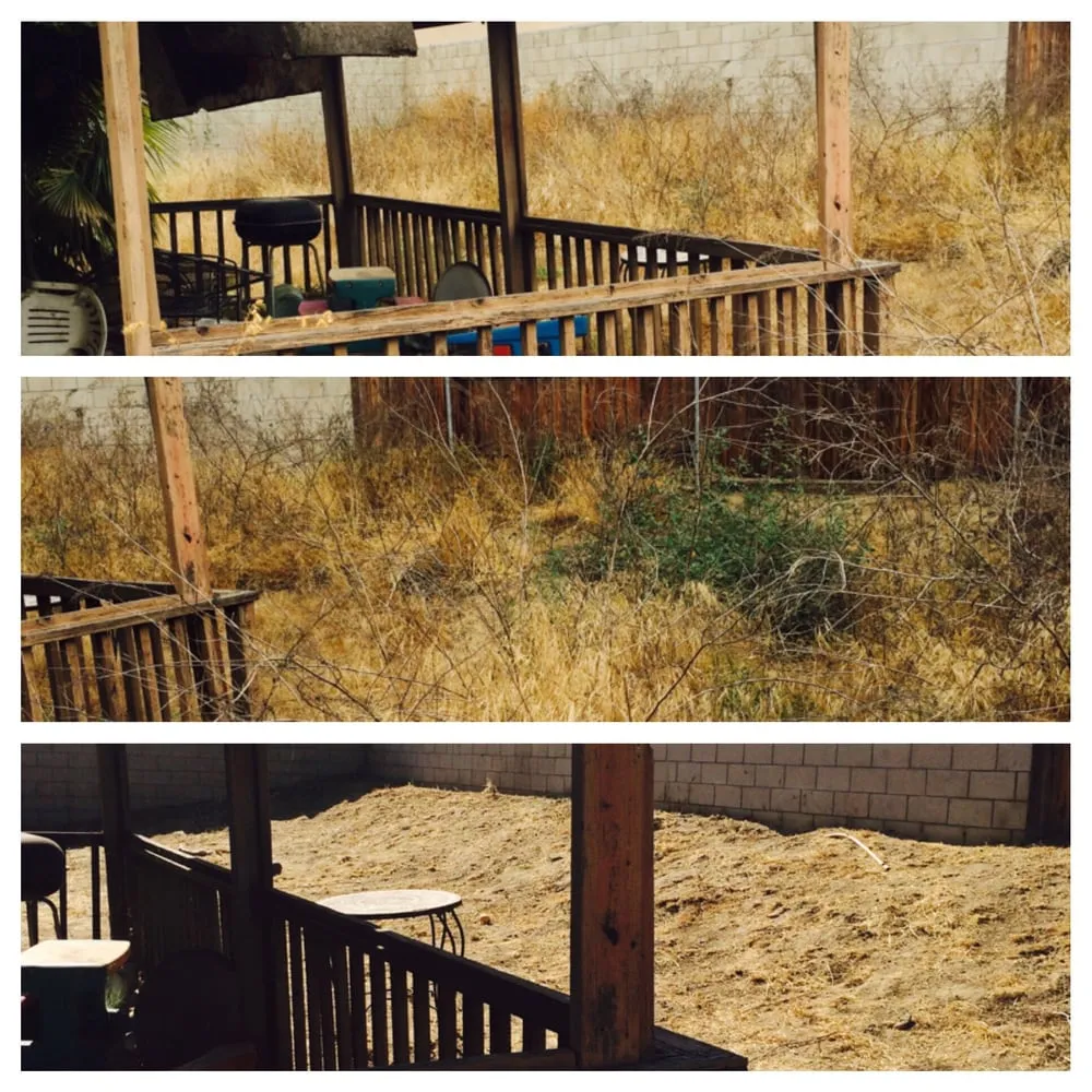 Reliable landscape design in Olathe, KS by Brian's Landscaping & Junk Removal