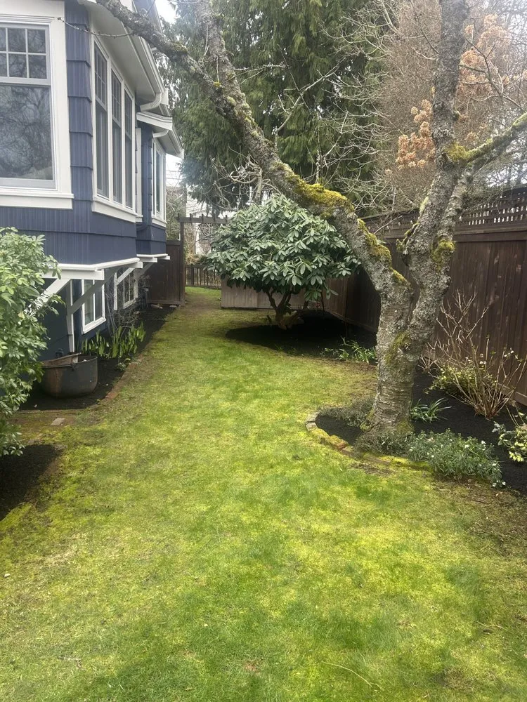 Trusted lawn mowing service for beautiful yards in Seattle, WA by Brian’s Landscaping